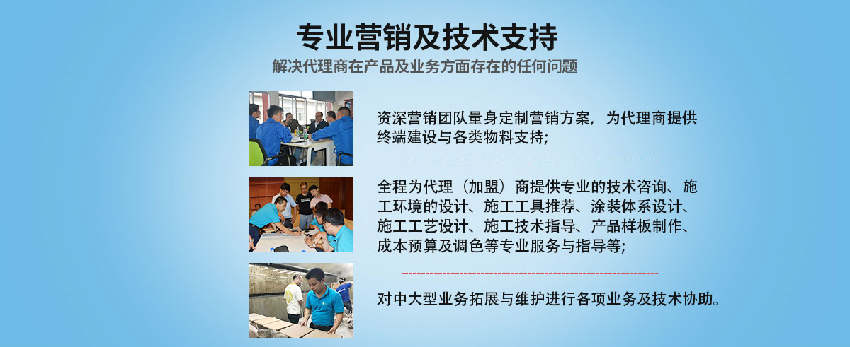 專業(yè)營銷及技術(shù)支持